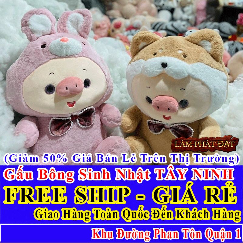 Shop Quà Tặng Sinh Nhật FreeShip Toàn Quốc Đến Đường Phan Tôn Q1
