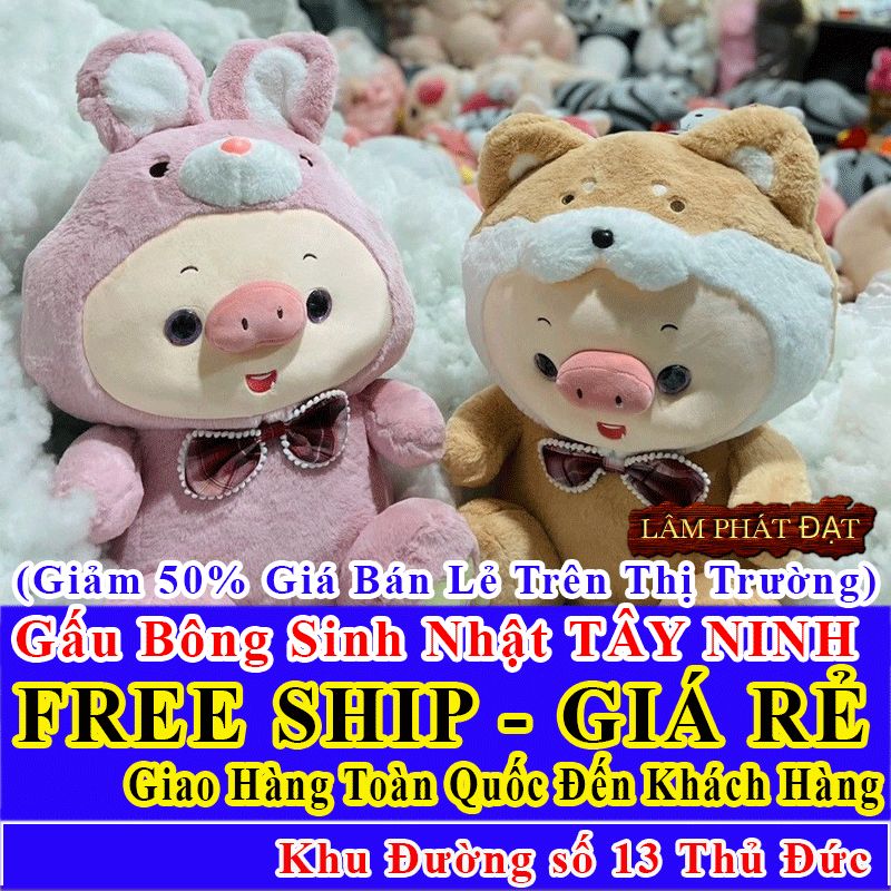 Quà Tặng Sinh Nhật Đường số 13 Thủ Đức FreeSHIP