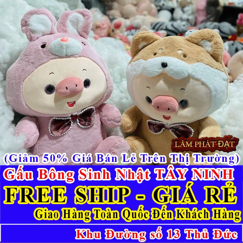 Shop Quà Tặng Sinh Nhật FreeShip Toàn Quốc Đến Đường số 13 Thủ Đức