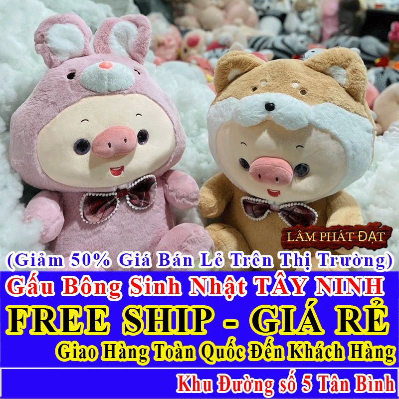 Shop Quà Tặng Sinh Nhật FreeShip Toàn Quốc Đến Đường số 5 Tân Bình