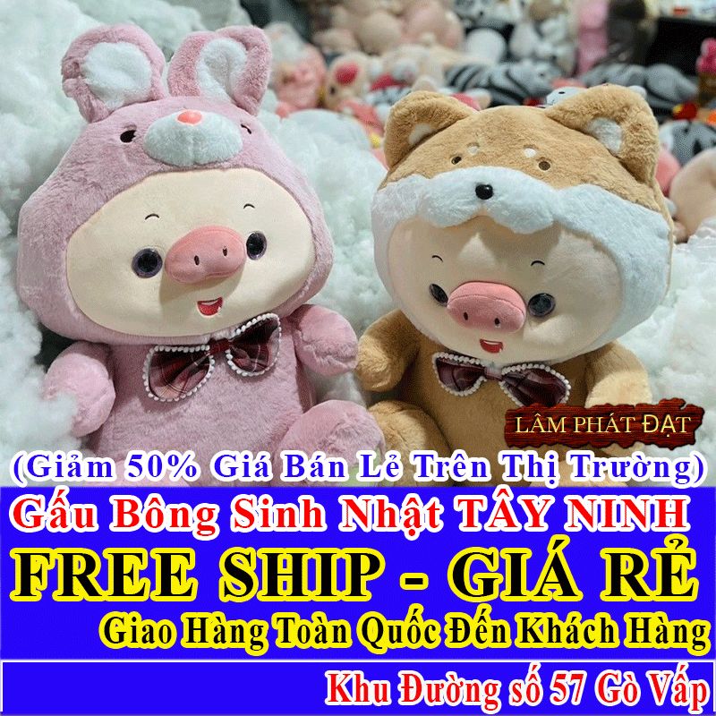 Shop Quà Tặng Sinh Nhật FreeShip Toàn Quốc Đến Đường số 57 Gò Vấp