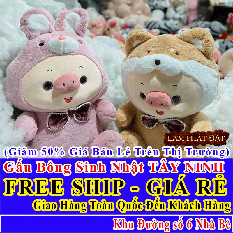 Quà Tặng Sinh Nhật Đường số 6 Nhà Bè FreeSHIP