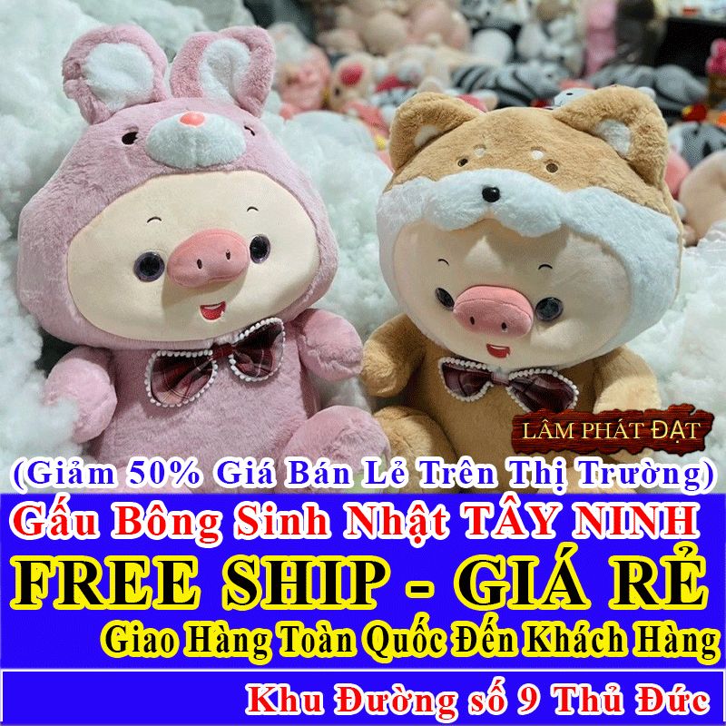 Shop Quà Tặng Sinh Nhật FreeShip Toàn Quốc Đến Đường số 9 Thủ Đức