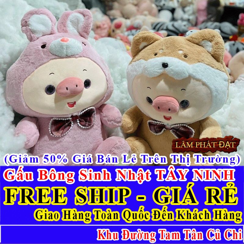 Shop Quà Tặng Sinh Nhật FreeShip Toàn Quốc Đến Đường Tam Tân Củ Chi