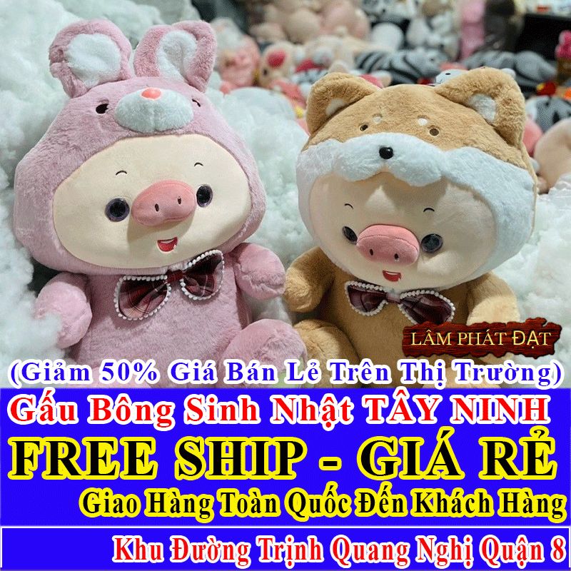 Shop Quà Tặng Sinh Nhật Giảm Giá 50% Miễn Ship Toàn Quốc Đến Đường Trịnh Quang Nghị Q8