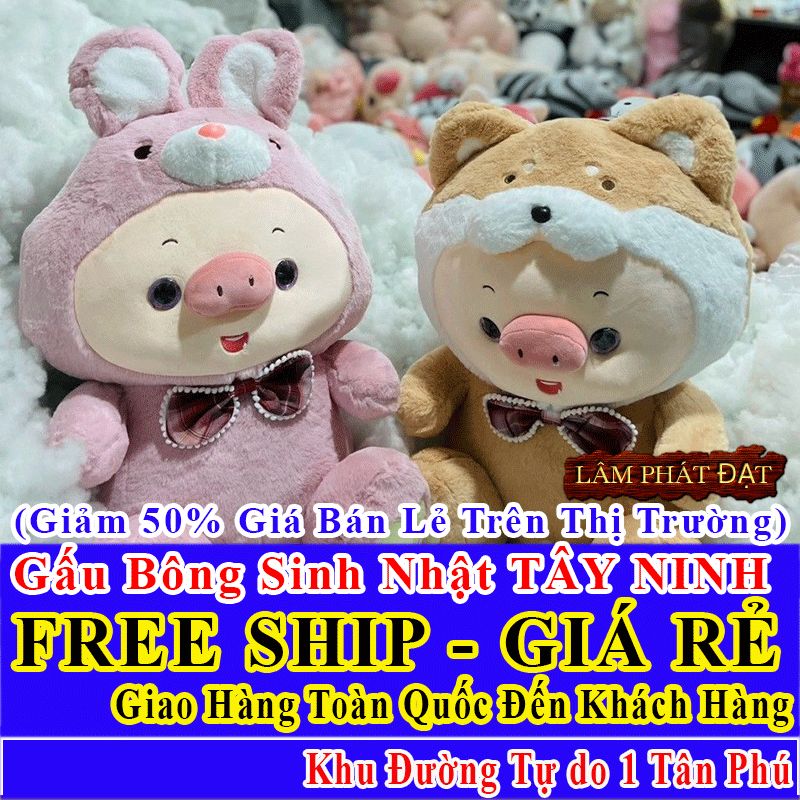 Shop Quà Tặng Sinh Nhật FreeShip Toàn Quốc Đến Đường Tự do 1 Tân Phú