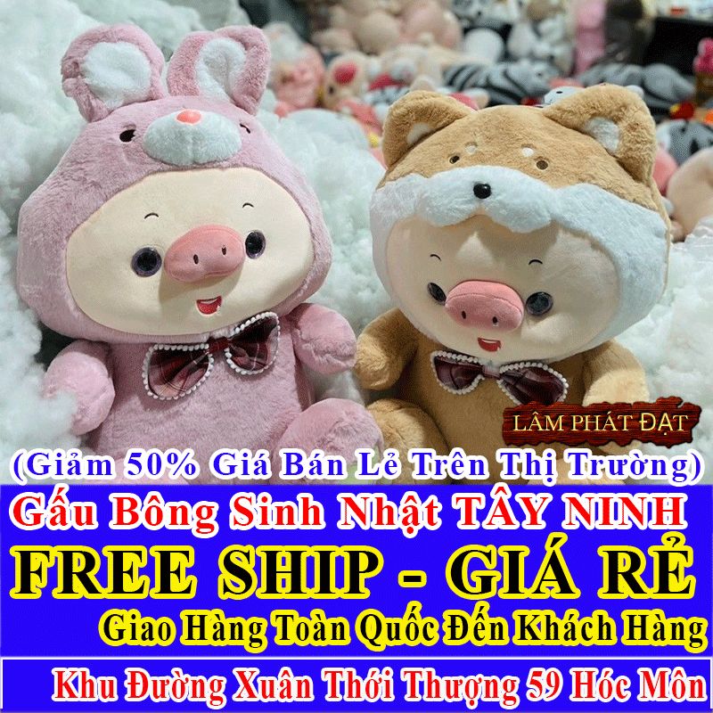 Shop Quà Tặng Sinh Nhật FreeShip Toàn Quốc Đến Đường Xuân Thới Thượng 59 Hóc Môn