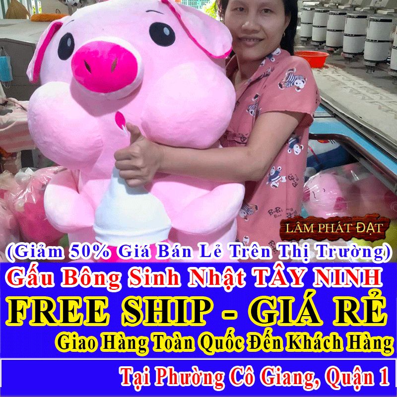 Shop Quà Tặng Sinh Nhật FreeShip Toàn Quốc Đến Phường Cô Giang