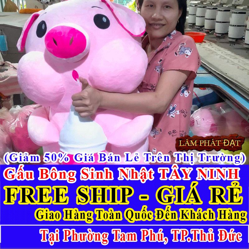 Shop Quà Tặng Sinh Nhật FreeShip Toàn Quốc Đến Phường Tam Phú