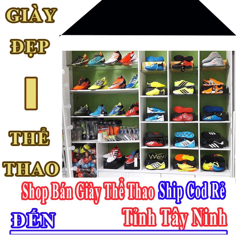 Shop Giày Thể Thao Giá Rẻ Nhận Ship Cod Đến Tỉnh Tây Ninh