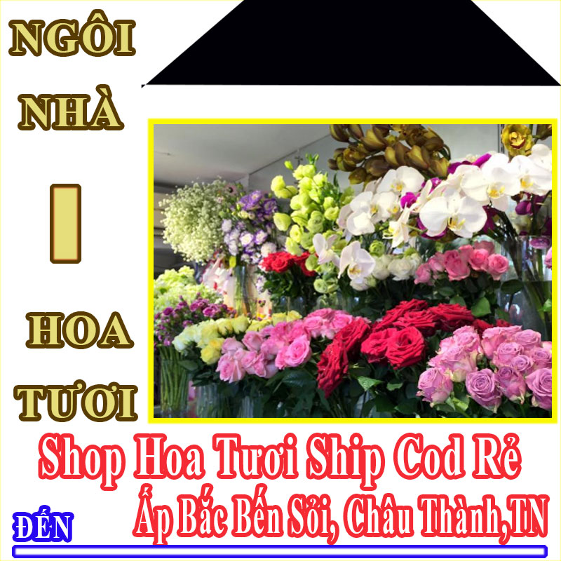 Shop Hoa Tươi Giá Rẻ Nhận Ship Cod Đến Ấp Bắc Bến Sỏi