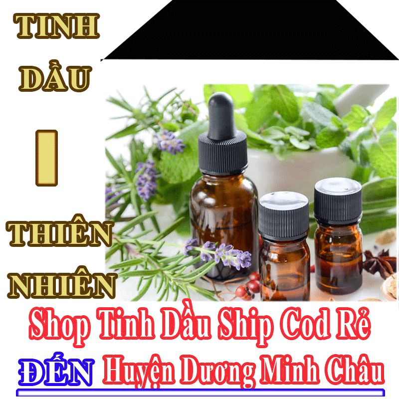 Shop Tinh Dầu Giá Rẻ Nhận Ship Cod Đến Huyện Dương Minh Châu