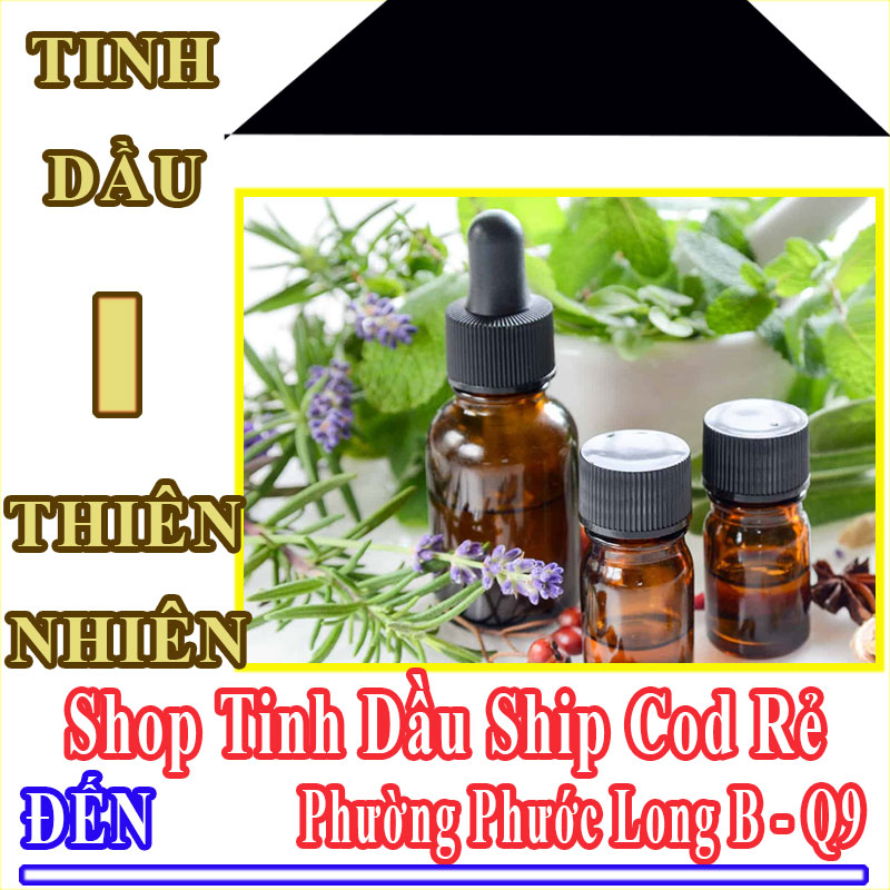 Shop Tinh Dầu Giá Rẻ Nhận Ship Cod Đến Phường Phước Long B