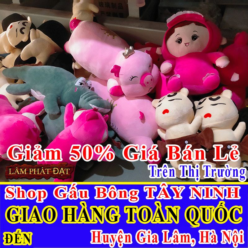 Shop Gấu Bông Bán Lẻ Giảm 50% FREESHIP Toàn Quốc Đến Huyện Gia Lâm