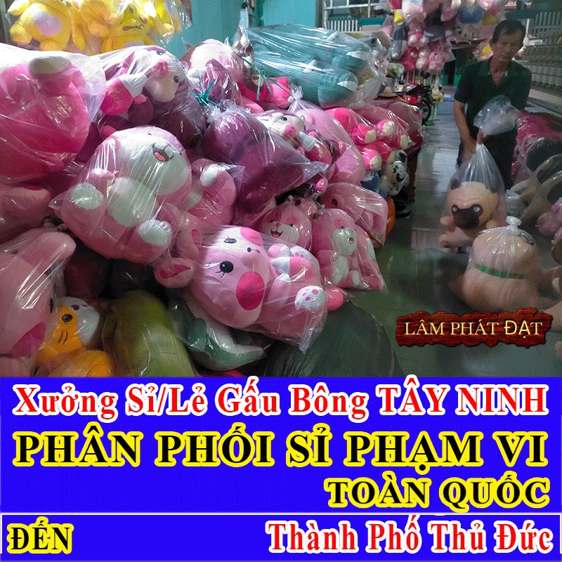 Xưởng Gấu Bông Thành Phố Thủ Đức FREE SHIP Khách Lẻ