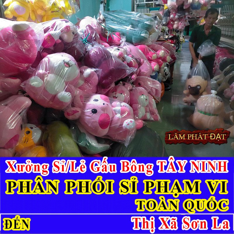 Xưởng Gấu Bông Thị Xã Sơn La FREE SHIP Khách Lẻ